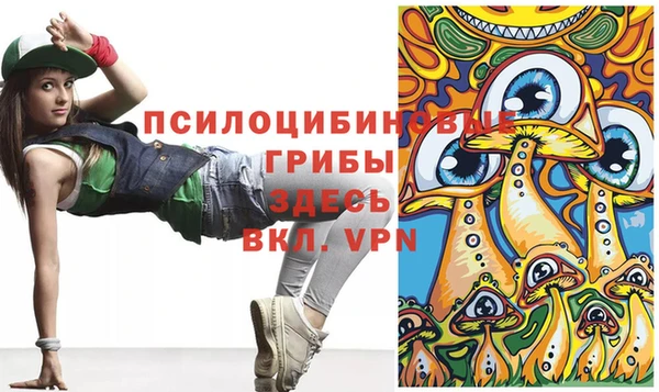 дживик Верхний Тагил