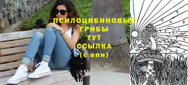 дживик Верхний Тагил