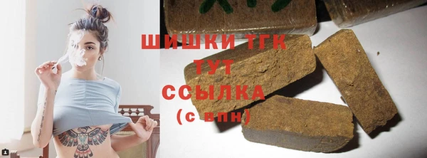 дживик Верхний Тагил