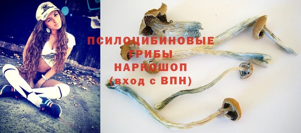 прущая мука Верея